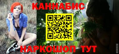 индика Боровичи
