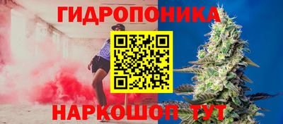 индика Боровичи
