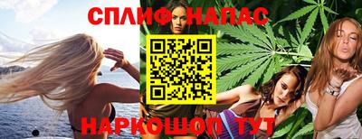 индика Боровичи