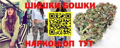 индика Боровичи