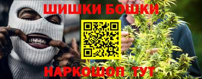 PSILOCYBIN Владикавказ