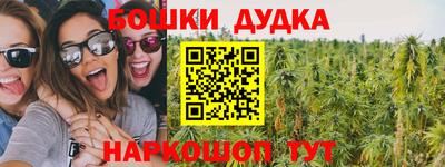 индика Боровичи